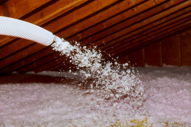 Best Energy Efficiency Solutions in Sylvania, AL