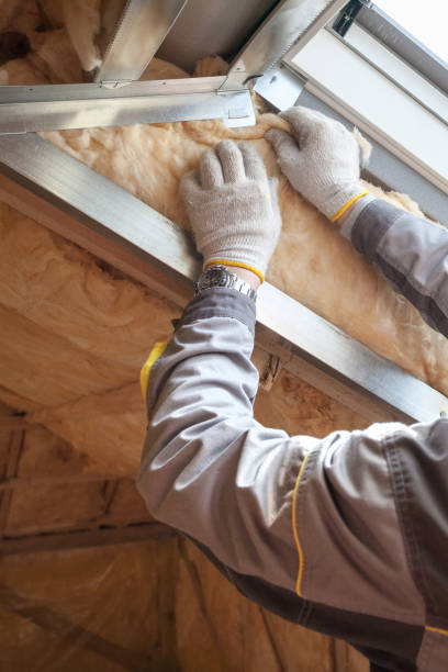 Best Commercial Insulation in Sylvania, AL